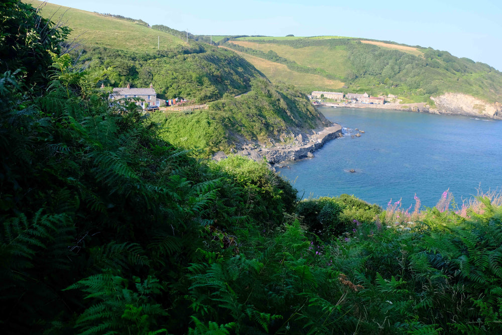 Extra photo from the walk