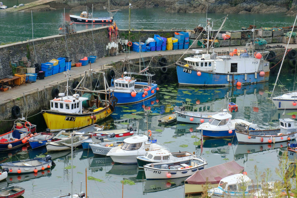 Extra photo from the walk