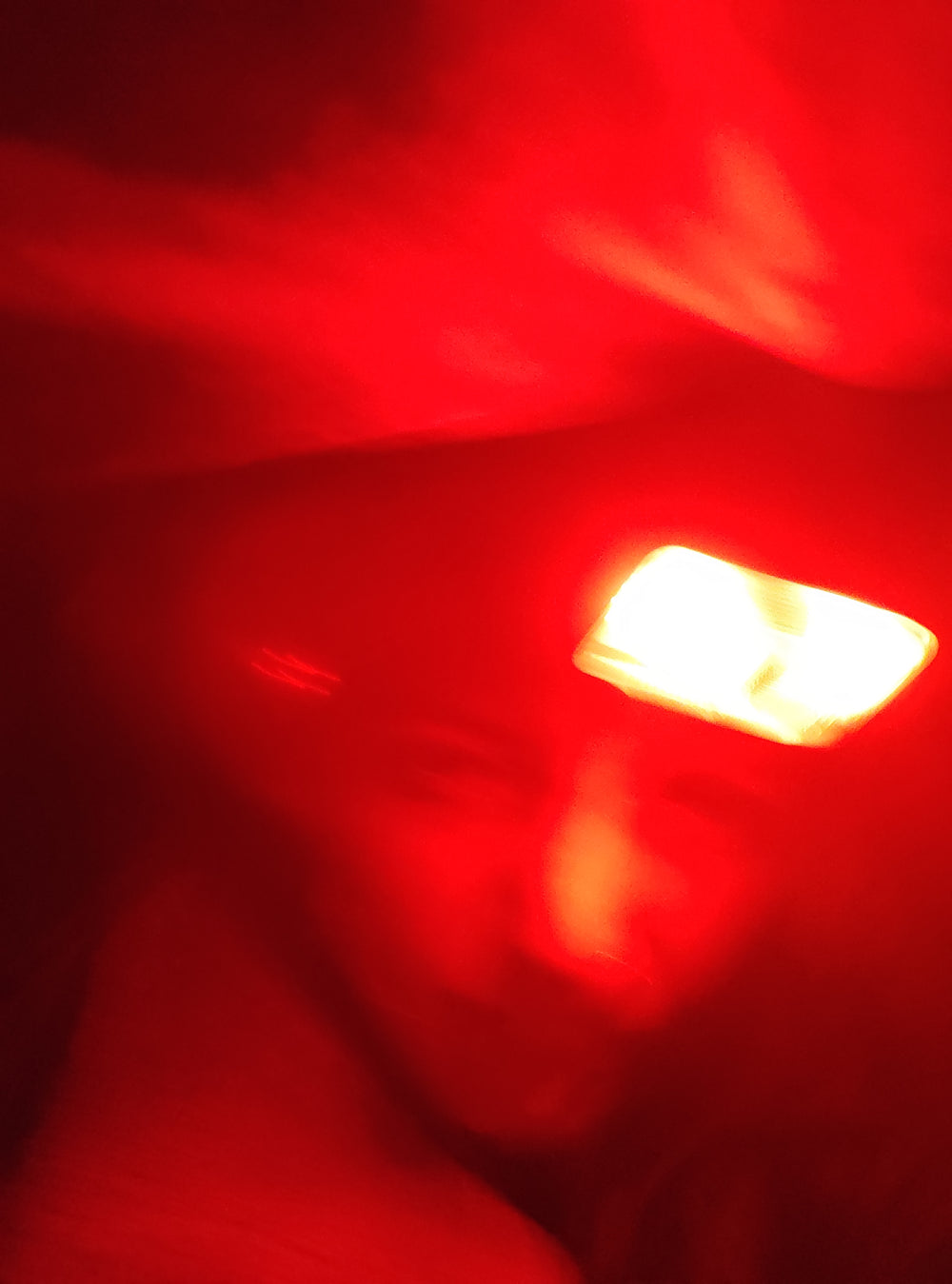 Extra photo from the walk