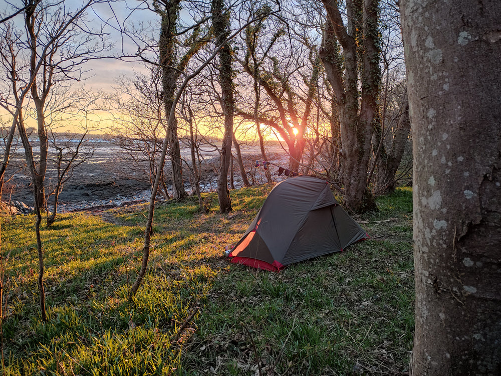 Extra photo from the walk