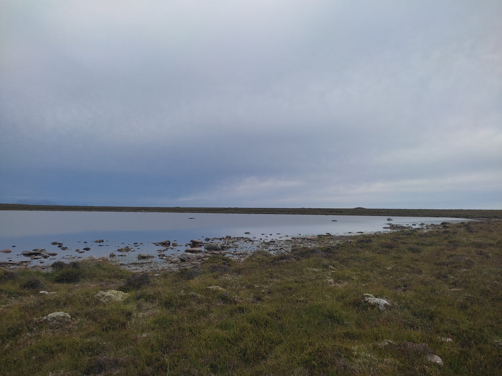 Extra photo from the walk