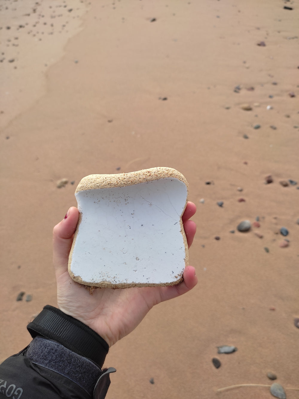 Extra photo from the walk