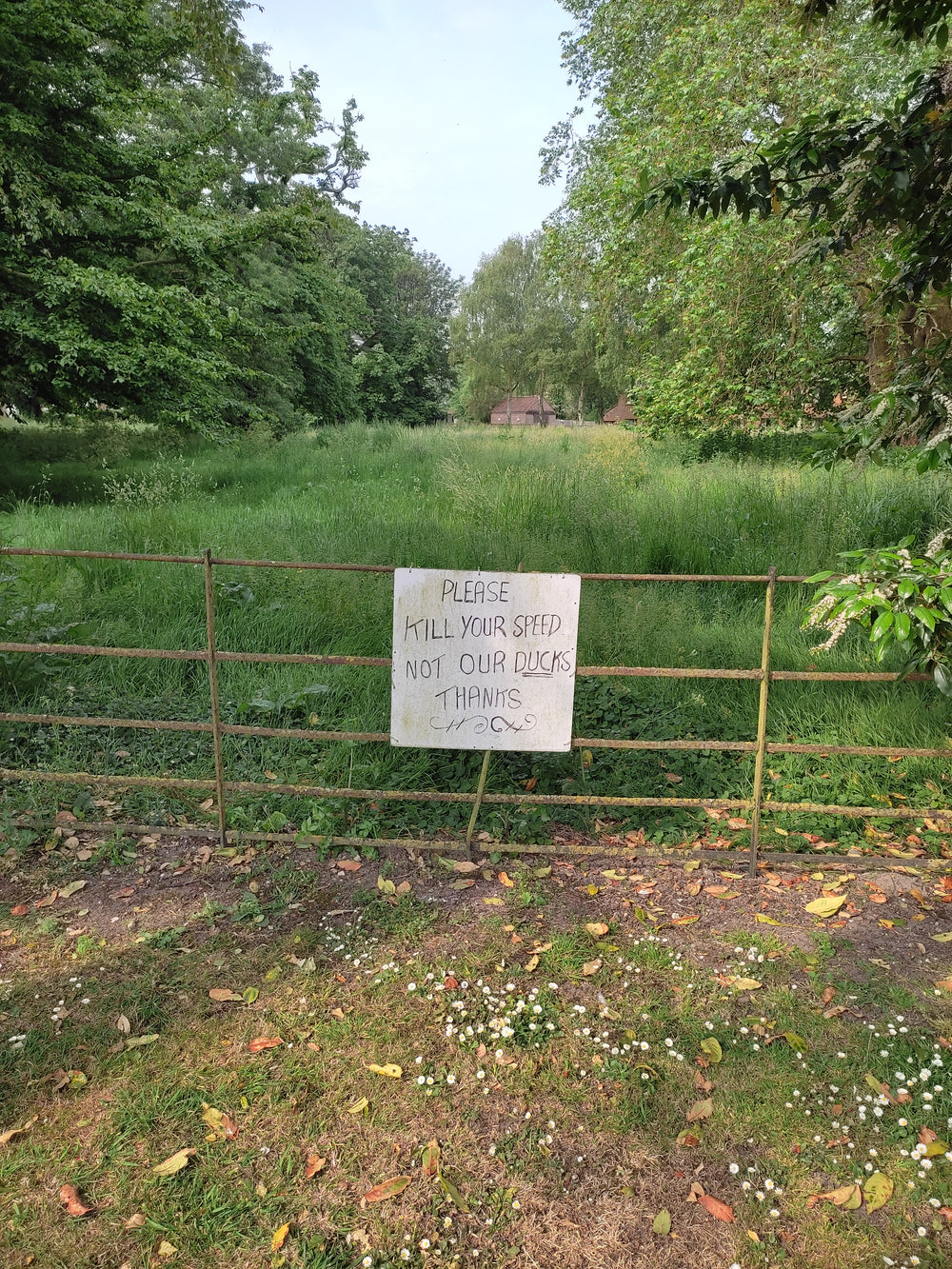 Extra photo from the walk