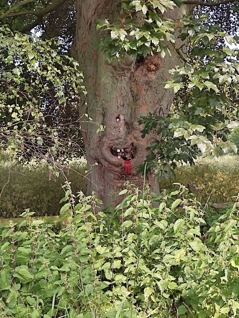 Extra photo from the walk