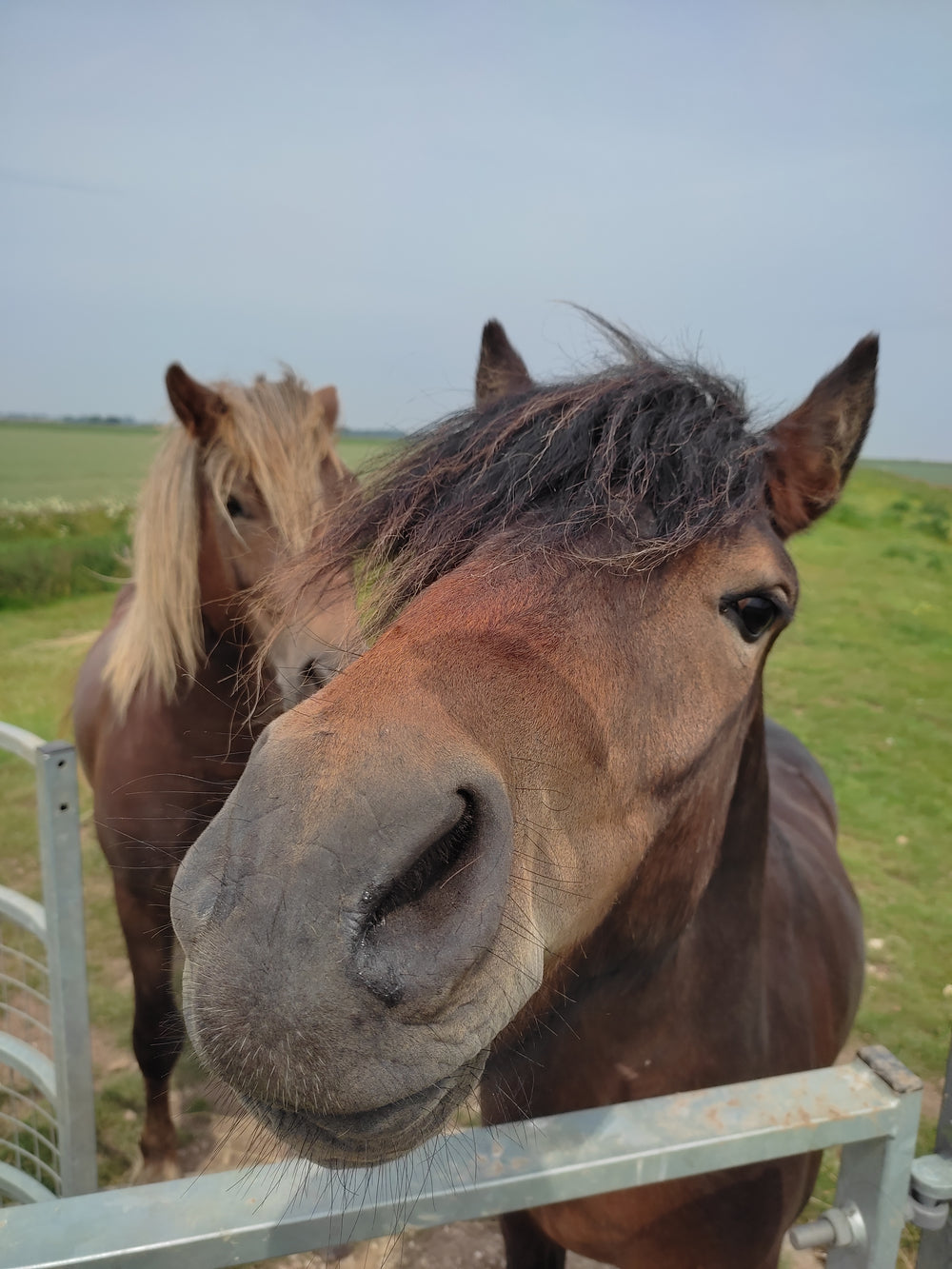 Extra photo from the walk